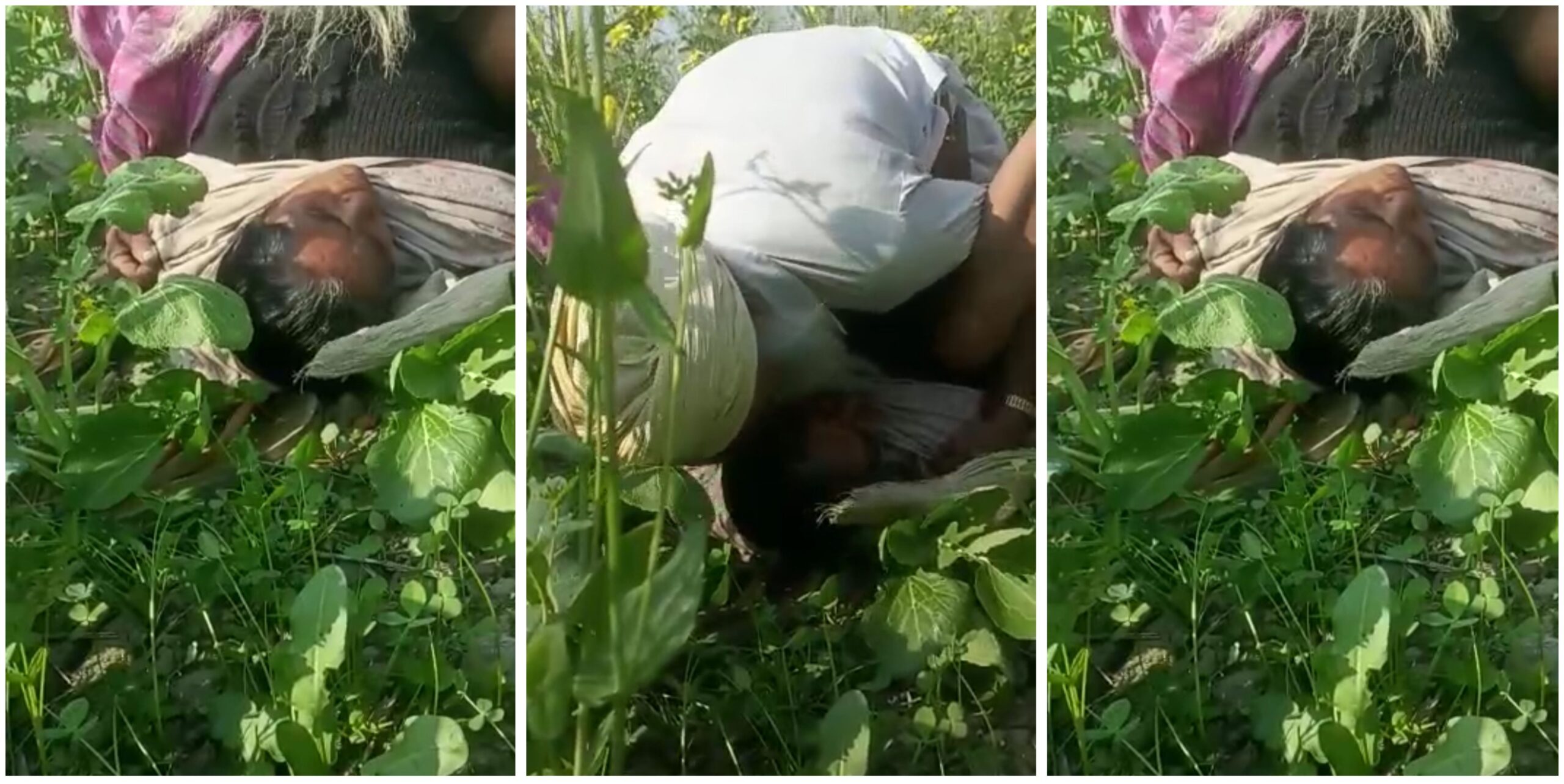 Punjabi Outdoor sex of an old couple from a farm desi sex